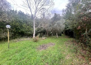Foto 7 - Terreno agricolo Via Della Casa Rossa
 
2, Pisa - foto 7