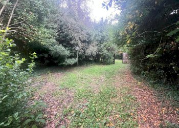 Foto 8 - Terreno agricolo Via Della Casa Rossa
 
2, Pisa - foto 8