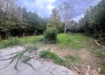 Foto 11 - Terreno agricolo Via Della Casa Rossa
 
2, Pisa - foto 11