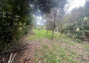 Foto 14 - Terreno agricolo Via Della Casa Rossa
 
2, Pisa - foto 14