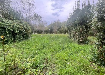 Foto 16 - Terreno agricolo Via Della Casa Rossa
 
2, Pisa - foto 16