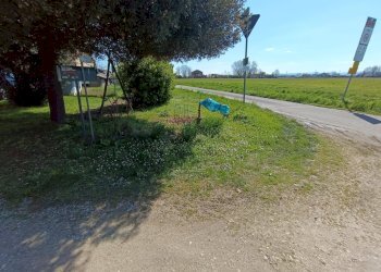 Foto 2 - Rustico Via Rosario
 
1, Castelfranco Emilia - foto 2