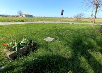 Foto 4 - Rustico Via Rosario
 
1, Castelfranco Emilia - foto 4