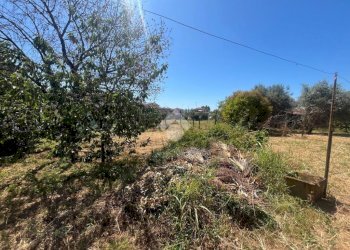 Independent house Via della Crociata, Sarzana - photo 3
