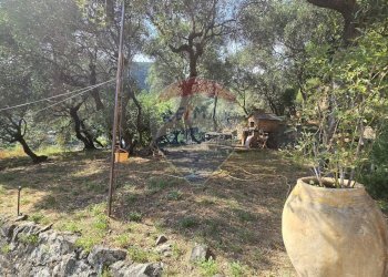 Bilocale localita serra, 4 
 Serra, Bonassola - foto 18