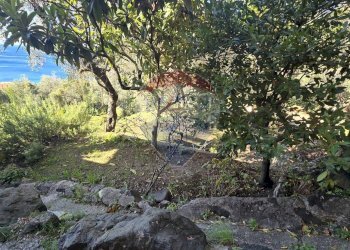 Bilocale localita serra, 4 
 Serra, Bonassola - foto 21