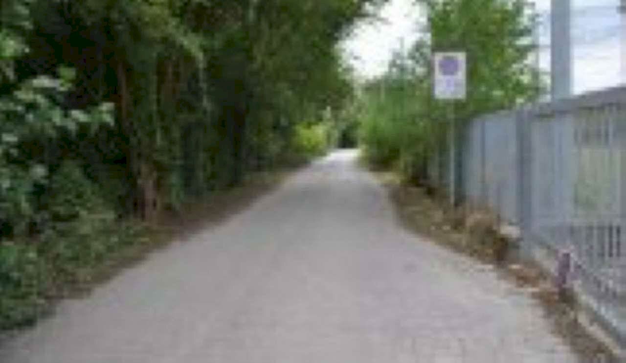 Terreno agricolo Verona - foto 1