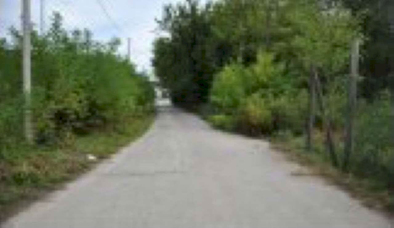 Terreno agricolo Verona - foto 3