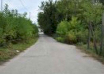 Terreno agricolo Verona - foto 3