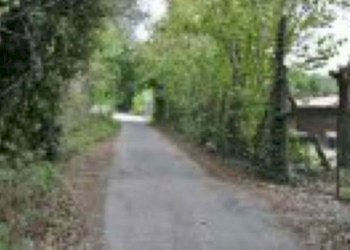 Terreno agricolo Verona - foto 5