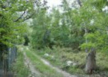 Terreno agricolo Verona - foto 6