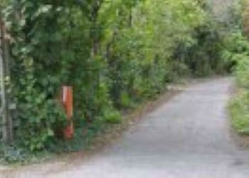 Terreno agricolo Verona - foto 9