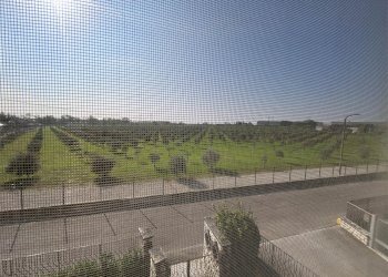 Appartamento Verona (zona San Massimo) - foto 10