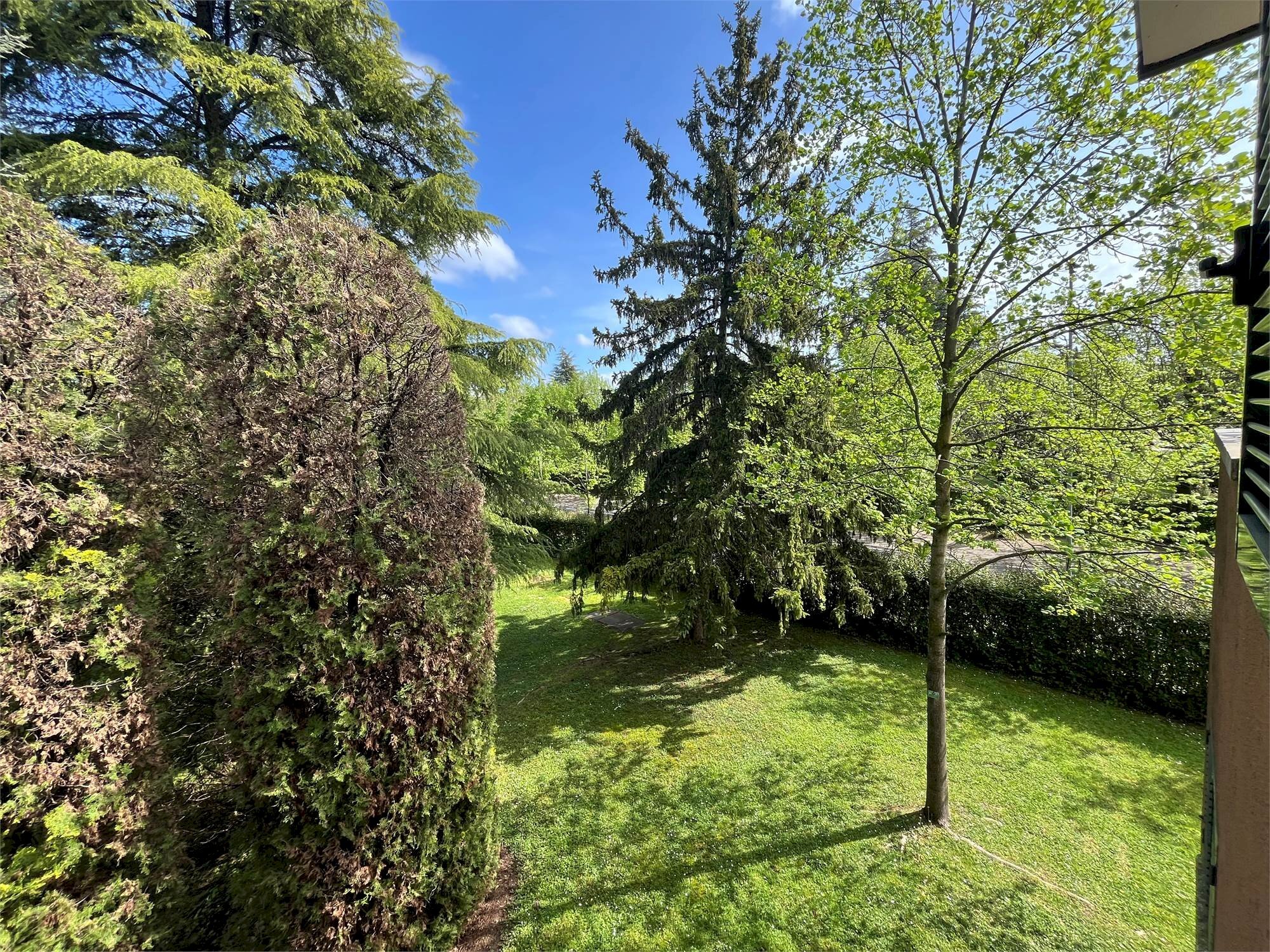 Trilocale Sirmione - foto 3