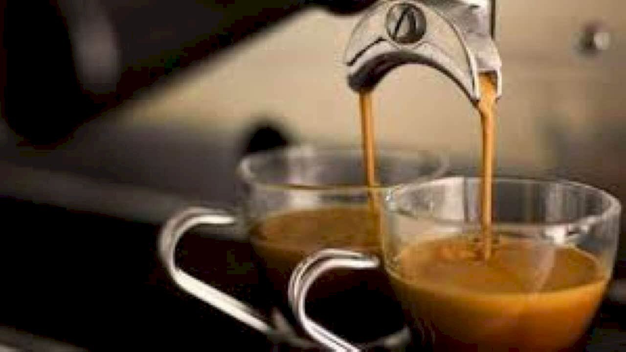 Bar Tavola Calda - Fredda Verona (zona Centro Storico) - foto 1