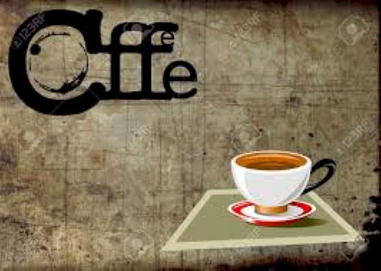 Bar Tavola Calda - Fredda Verona (zona Centro Storico) - foto 2