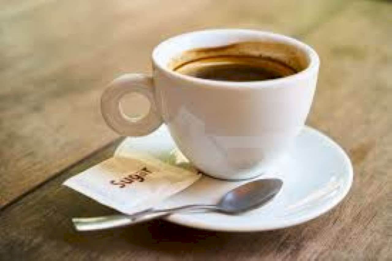 Bar Tavola Calda - Fredda Verona (zona Centro Storico) - foto 3