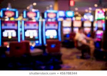 Bar Tavola Calda - Fredda Verona (zona Centro Storico) - foto 6