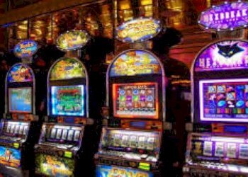 Bar Tavola Calda - Fredda Verona (zona Centro Storico) - foto 7