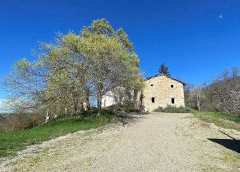 Rustic Guiglia - photo 4