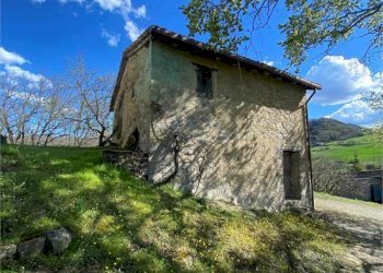 Rustic Guiglia - photo 6