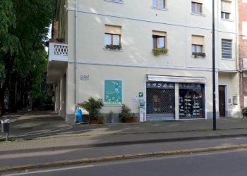 Negozio Vignola - foto 2