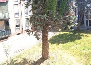 Bilocale Legnano - foto 6