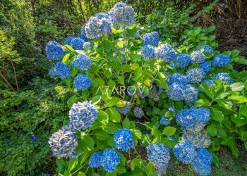 Villa Baveno - photo 21