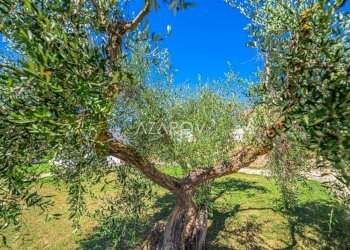 Villa Capalbio - foto 32