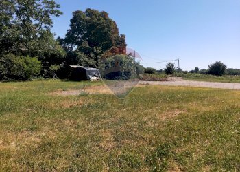 Giardino - Locale Commerciale SP594
 
82, Ghislarengo - foto 15