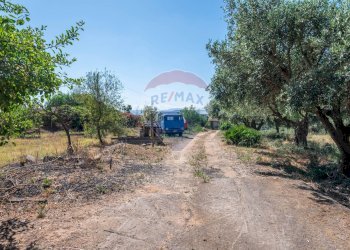 Giardino - Casa indipendente Via Giuseppe Garibaldi
 
171, Caltagirone - foto 17