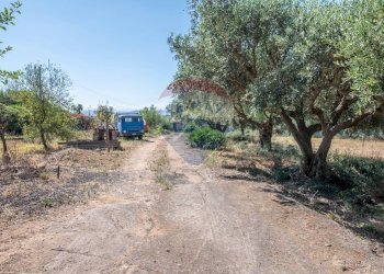 Giardino - Casa indipendente Via Giuseppe Garibaldi
 
171, Caltagirone - foto 19