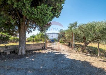 Giardino - Casa indipendente Via Giuseppe Garibaldi
 
171, Caltagirone - foto 21