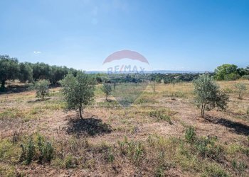 Vista delle montagne - Casa indipendente Via Giuseppe Garibaldi
 
171, Caltagirone - foto 23