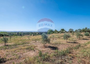 Vista delle montagne - Casa indipendente Via Giuseppe Garibaldi
 
171, Caltagirone - foto 24