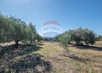 Giardino - Casa indipendente Via Giuseppe Garibaldi
 
171, Caltagirone - foto 25