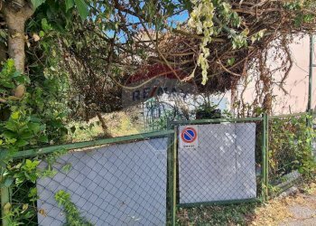 Giardino - Trilocale Via 2 settembre
 
336/A, Cerreto Guidi - foto 29