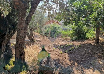 Giardino - Independent house Via Santa Lucia, Lettomanoppello - photo 7