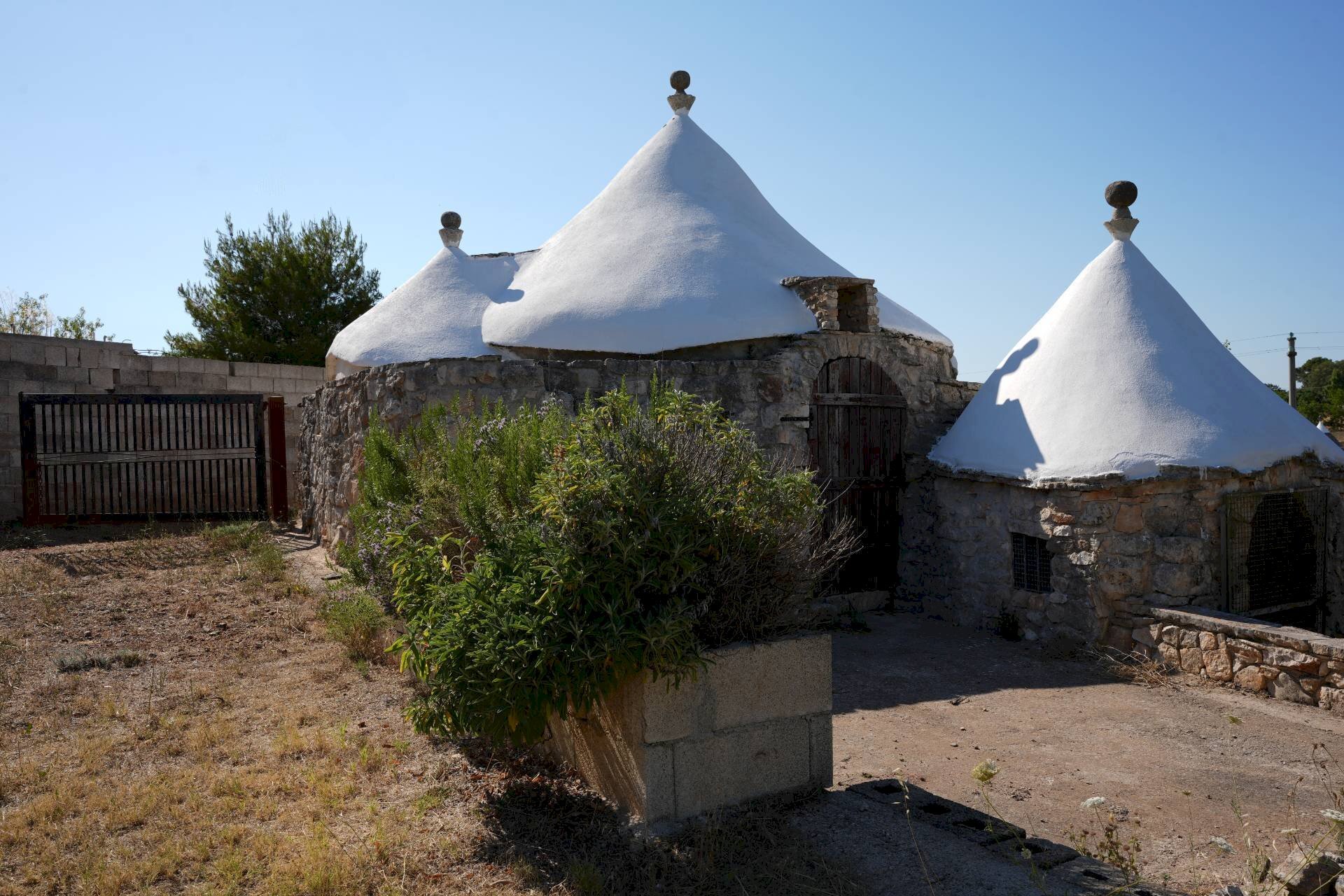 Foto 1 - Baita STRADA PADULA CAPPA
 
SNC, Martina Franca - photo 1