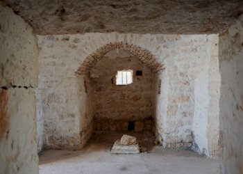 Foto 7 - Baita STRADA PADULA CAPPA
 
SNC, Martina Franca - foto 7