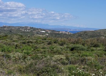 Foto 1 - Agricultural land Capizza Di Vacca, Santa Teresa Gallura - photo 1