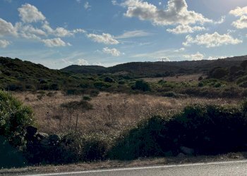 Foto 9 - Agricultural land Capizza Di Vacca, Santa Teresa Gallura - photo 9