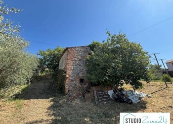 Foto 3 - Rustic Montecastrilli - photo 3