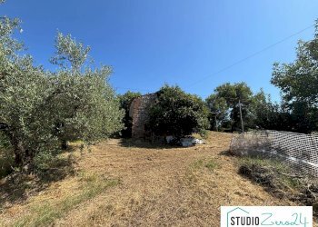 Foto 5 - Rustic Montecastrilli - photo 5