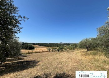 Foto 9 - Rustic Montecastrilli - photo 9