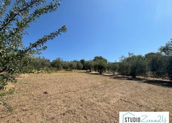 Foto 10 - Rustic Montecastrilli - photo 10