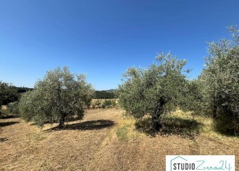 Foto 12 - Rustic Montecastrilli - photo 12