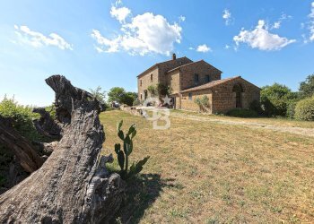 Foto 40 - Villa Podere Le Selvacce, Pitigliano - foto 40