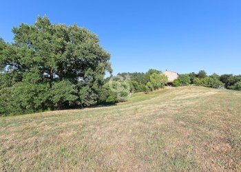 Foto 41 - Villa Podere Le Selvacce, Pitigliano - foto 41