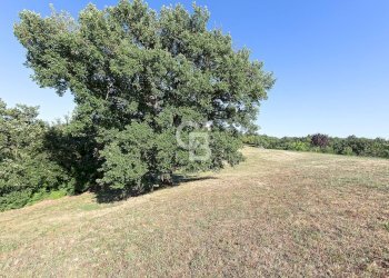 Foto 46 - Villa Podere Le Selvacce, Pitigliano - foto 46